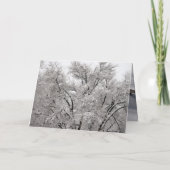 クリスマスカード (裏面)