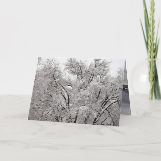 クリスマスカード (裏面)