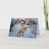 クリスマスカード (正面)