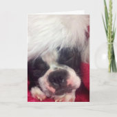 クリスマスカード (正面)