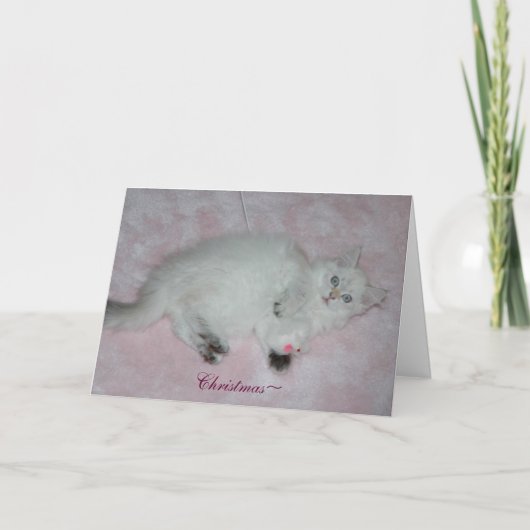 クリスマスカード (正面)