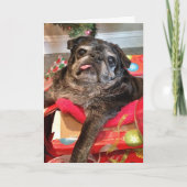 クリスマスカード (正面)