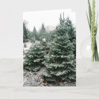 クリスマスカード