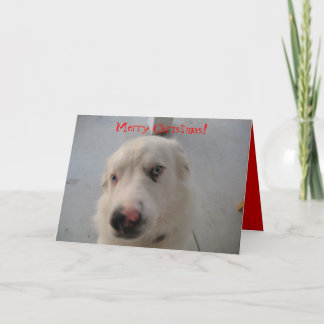 クリスマスカード07 シーズンカード