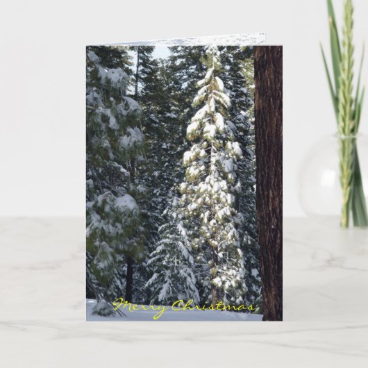 クリスマスカード2006年 シーズンカード (正面)