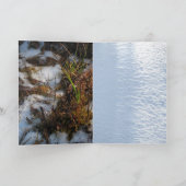 クリスマスカード2006年 シーズンカード (内部)