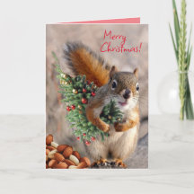 クリスマスカード5 x 7インチBickles氏