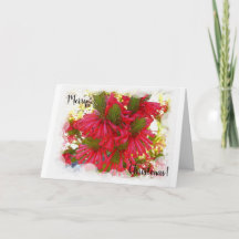 クリスマスカード - エリカの花