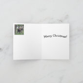 クリスマスカード - カンガルー カード (内部)