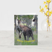 クリスマスカード - カンガルー カード (黄色い花)