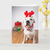 クリスマスカード カード (黄色い花)