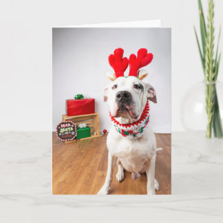 クリスマスカード カード