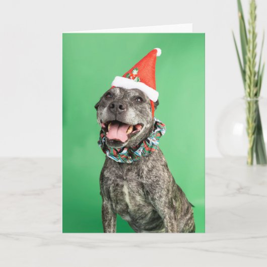 クリスマスカード カード (正面)