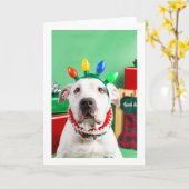 クリスマスカード カード (黄色い花)