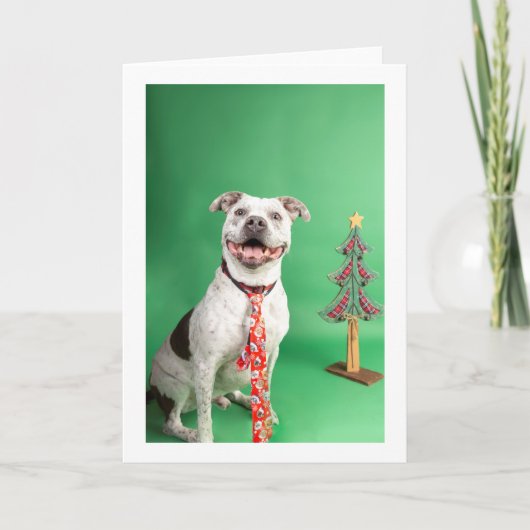 クリスマスカード カード (正面)