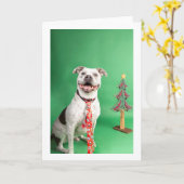 クリスマスカード カード (黄色い花)