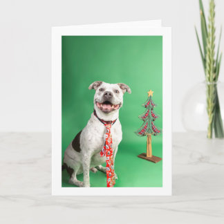 クリスマスカード カード