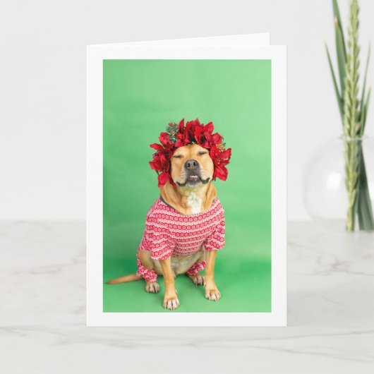 クリスマスカード カード (正面)