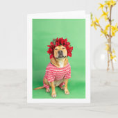 クリスマスカード カード (黄色い花)