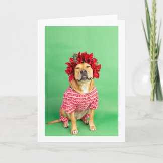 クリスマスカード カード