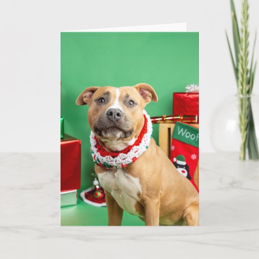 クリスマスカード カード (正面)