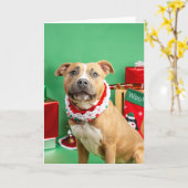 クリスマスカード カード (黄色い花)