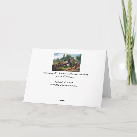 クリスマスカード – キジャンツ (裏面)