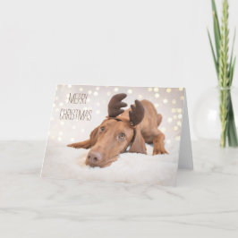 クリスマスカード/クリスマスカード「マグヤル・ヴィツラ」 シーズンカード