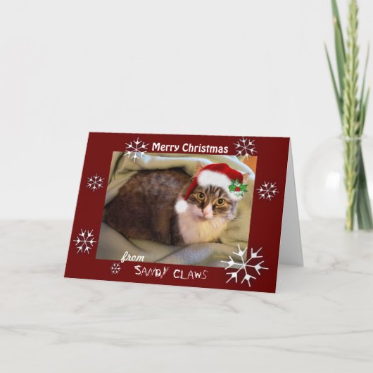 クリスマスカード「サンディ爪」 シーズンカード (正面)