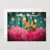 クリスマスカード シーズンポストカード (正面/裏面)