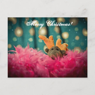 クリスマスカード シーズンポストカード