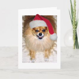 クリスマスカード |ポメラニア犬サンタ・ドッグ