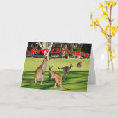 クリスマスカード – 公園のカンガルー カード (黄色い花)