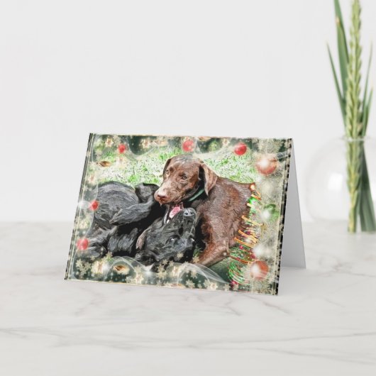 クリスマスカード～子犬のユーモア シーズンカード (正面)