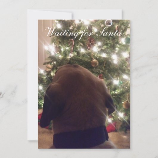 クリスマスカード 招待状 (正面)