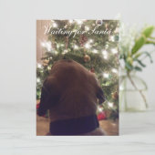 クリスマスカード 招待状 (スタンド正面)