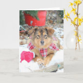 クリスマスカード-救出されたクリスマス カード (黄色い花)