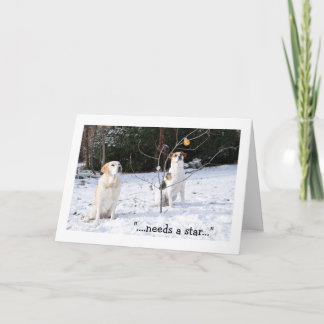 クリスマスカード、木を見る雪の2匹の犬 シーズンカード