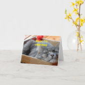 クリスマスカード-猫のいびき カード (黄色い花)