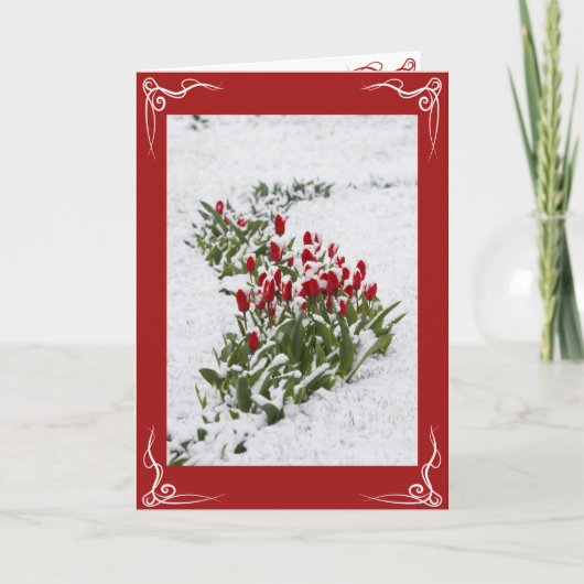 クリスマスカード – 祝日のグリーティングカード カード (正面)