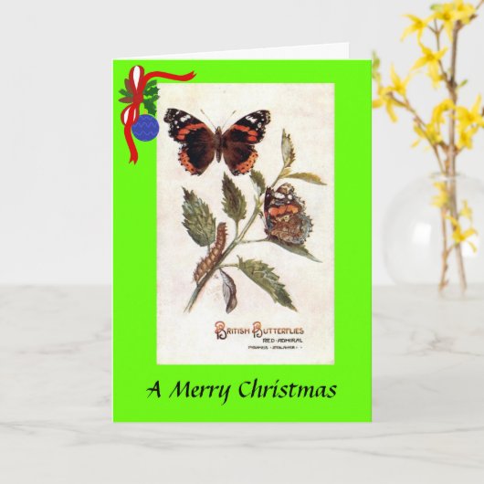 クリスマスカード – 蝶 カード (黄色い花)