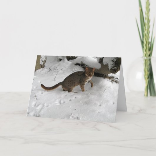 クリスマスカード-錆ついた斑点を付けられた猫2 シーズンカード (正面)