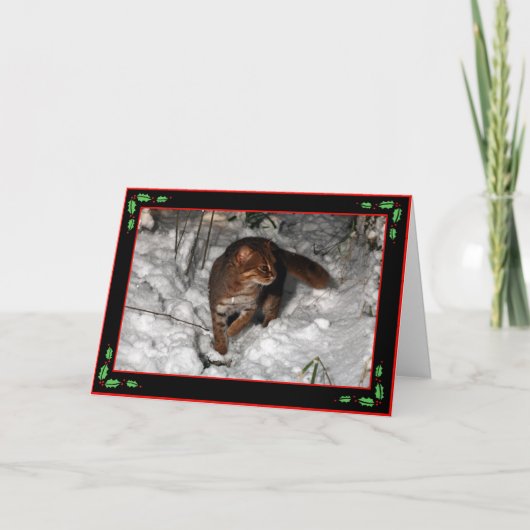 クリスマスカード-錆ついた斑点を付けられた猫(黒) シーズンカード (正面)