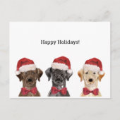 クリスマスカード(3枚のラブラドール) ポストカード (正面)