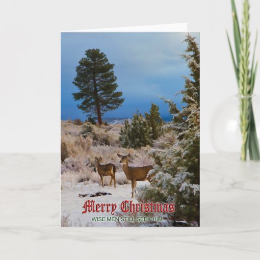 クリスマスカード#4 シーズンカード (正面)