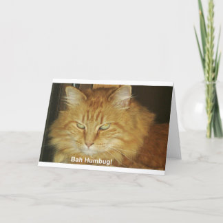 クリスマスカード: Bahの詐欺 シーズンカード