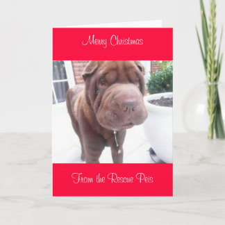 クリスマスカード_cr、クリスマスメリーfrom Wallace シーズンカード