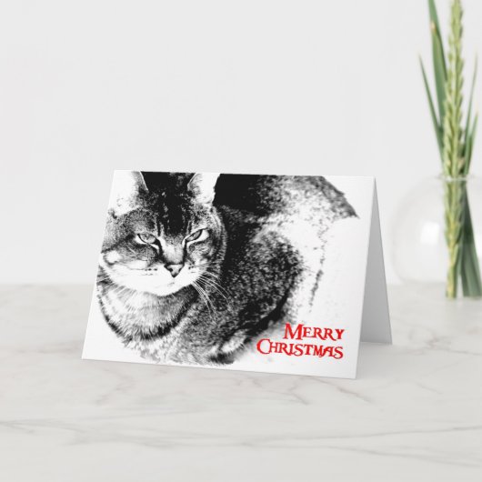 クリスマスカード – Half-Burmese Cat (正面)