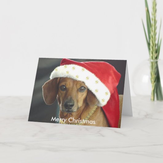 クリスマスカード – Santa Dachshund (正面)