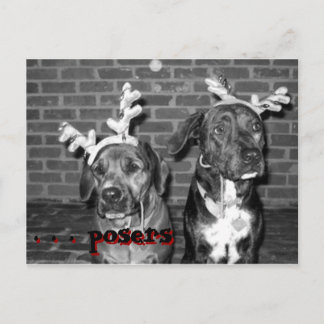 クリスマスカードrecrop recontrast, .. posers, .... シーズンポストカード